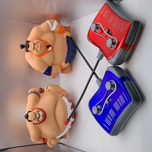 Remote Control Sumo Fighter Robot Set